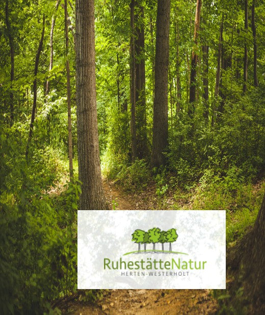 Wälder